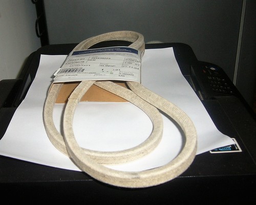 Cinghia trattorino rasaerba - cinghia,