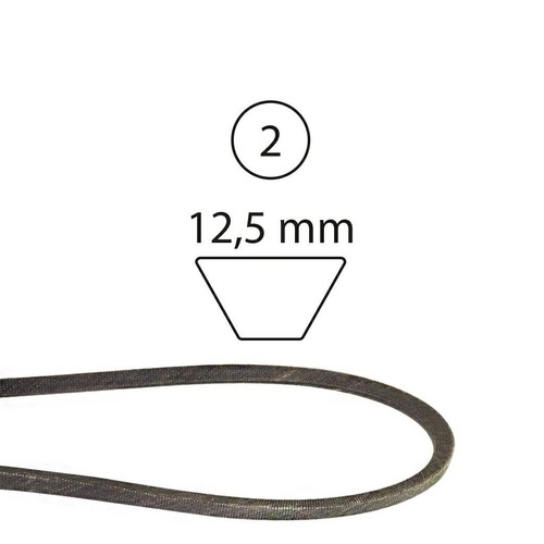 Cinghia trapezoidale